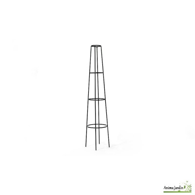 Tuteur colonne conique pour rosier en métal 2m