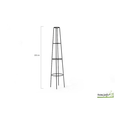 Tuteur colonne conique pour rosier en métal 2m