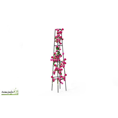 Tuteur colonne conique pour rosier en métal 2m