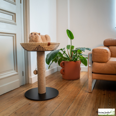 Arbre à chat, corbeille étoile, H.50 cm, Sensation Vietnam, griffe chat, Vivog, achat, pas cher