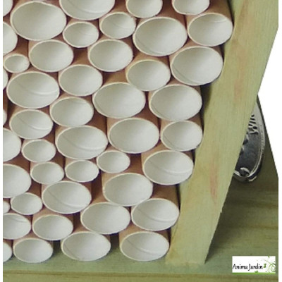 Maison pour abeille en bois, H.20,8 cm, Hôtel à insecte BugInn