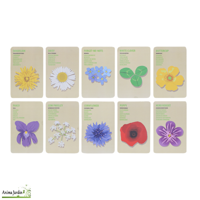 Sac explorateur pour enfant - Observatoire fleurs