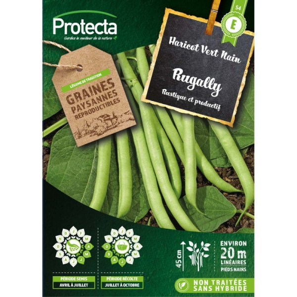 Graines de haricot vert nain - Rugally - Protecta