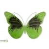 Papillon L.55 cm, animal en métal, ornement décoration extérieure