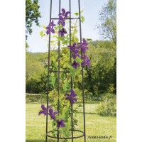 Colonne métal, support plantes, Obélisk, décoration jardin, Nortène, achat