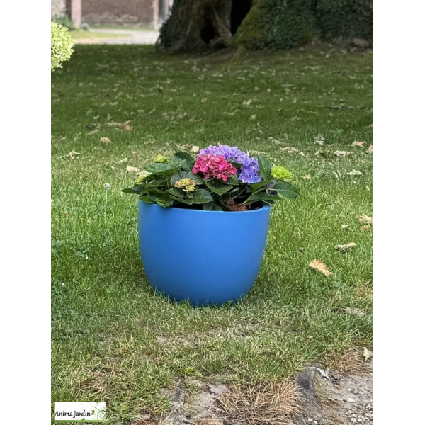 Bac arrondi en composite - 50X40 cm - Vase