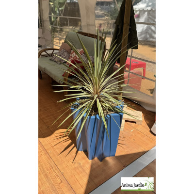 Bac organique en composite - 50X50 cm - Voile