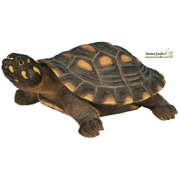 Tortue Hermann, 24 cm en résine, déco de jardin, Riviera, achat