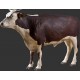 Bœuf debout 136 cm en résine, marron-blanc, animal de la ferme
