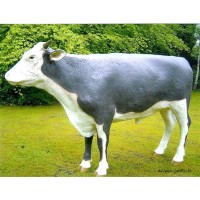 Bœuf debout 136 cm en résine, marron-blanc, animal de la ferme