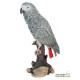 Perroquet Gris du gabon 38 cm en résine, Riviera, achat oiseaux