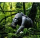 Gorille femelle en résine avec bébé, 114cm, animal sauvage, jungle