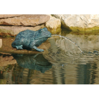 Petit bassin 145 litres en résine équipé avec pompe, et grenouille, achat