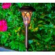 Borne solaire Leds, EDEN, balise à planter, design esprit lanterne romantique, pas cher