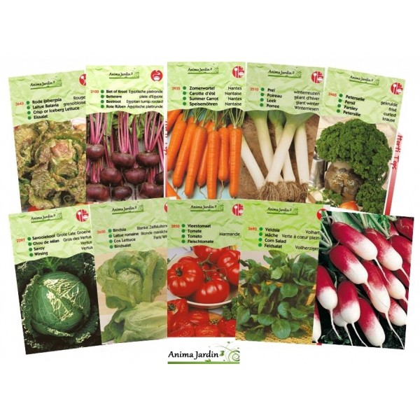 OwnGrown Lot de 12 graines de légumes de qualité supérieure Cultiver des  graines de légumes dans le jardin ou les parterres surélevées, assortiment  de graines de légumes dans un ensemble pratique 