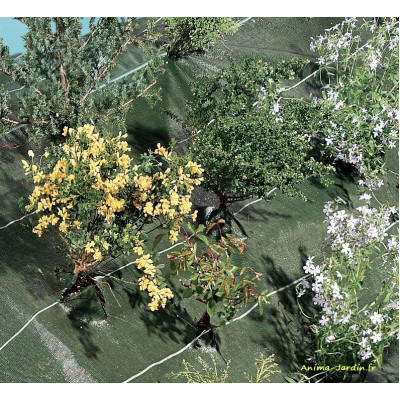 Toile de paillage tissée verte, nortène