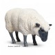 Mouton Blanc debout en fibre de verre, Brebis tête Basse noire, animal de la ferme