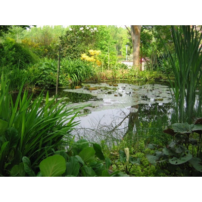 Bâche pour bassin en EPDM Aqua Flexi Liner Ubbink, resistante, qualité, achat