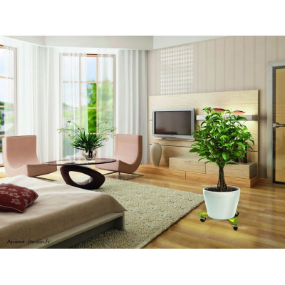 Roulettes "Flora Roll" réglables, plateau roulant pour plantes lourdes Nortène, 42cm, achat/vente