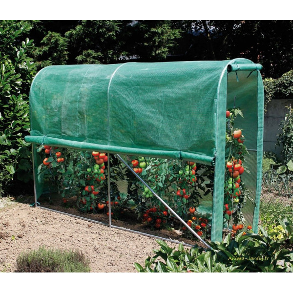Serre à tomates de qualité, serre souple TOMATO greenhouse, Nortène