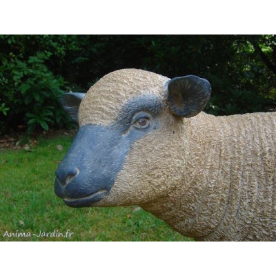 Agneau debout beige en fibre de verre, petit mouton tête haute noire, animal de la ferme