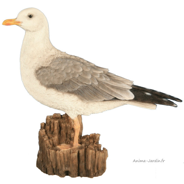 Mouette, 36 cm en résine, déco de jardin, Riviera, achat, oiseau, animal, bord de mer