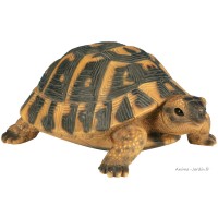 Tortue Hermann, 24 cm en résine, déco de jardin, Riviera, achat, réptile, animal