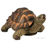 Tortue verte, 28 cm en résine, déco de jardin, Riviera, achat, réptile, animal