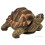 Tortue verte, 28 cm en résine, déco de jardin, Riviera, achat, réptile, animal