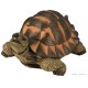 Tortue verte, 28 cm en résine, déco de jardin, Riviera, achat, réptile, animal