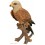 Milan Royal, 36 cm en résine, animal, rapace, oiseau, déco de jardin, Riviera, Escoufle