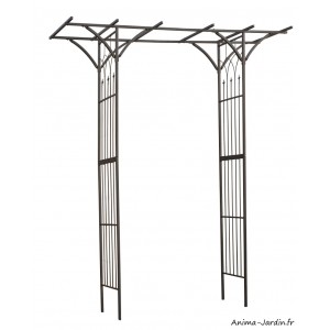 Pergola double droite, acier, décoration du jardin, allée, rosier, Nature, achat, vente, pas cher