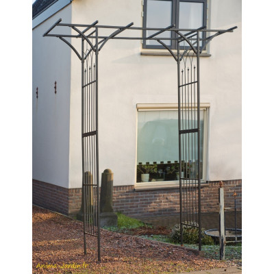 Pergola double droite, acier, décoration du jardin, allée, rosier, Nature, achat, vente, pas cher