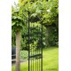 Pergola double droite, acier, décoration du jardin, allée, rosier, Nature, achat, vente, pas cher