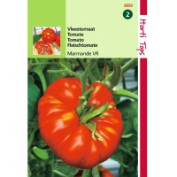 Graines de tomate MARMANDE, tomate précoce et savoureuse, achat, vente, pas cher