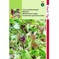 Graines de Salade Mesclun, mélange de salades, achat, vente, pas cher