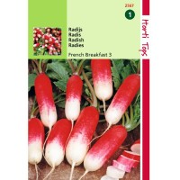 Graines de radis Flamboyant, demi-long, ferme, achat, vente, pas cher