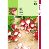 Graines de radis Gaudry, radis rond, graines potagères, achat, vente, pas cher