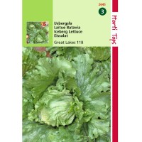 Graines de Salade Batavia Reine des Glaces, croquante, achat, vente, pas cher