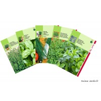 Lot de graines AROMATIQUES, 5 variétés, achat, vente, pas cher
