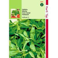 Graines de mâche verte à cœur plein, graines potagères, achat, vente, pas cher