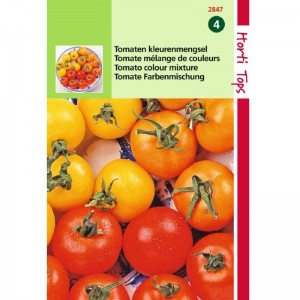 Graines de tomates, mélange de couleurs, graines potagères, achat, vente, pas cher