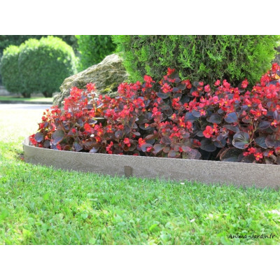 Bordure semi-enterrée en composite, Woodtec border, bois, polypropylène, Nortène, achat, pas cher
