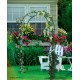 Arche, Classic Arch, décoration jardin, support plantes grimpantes, Nortène, achat, pas cher