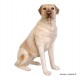 Labrador assis en résine, animal, jardin, décoration de jardin, achat, pas cher