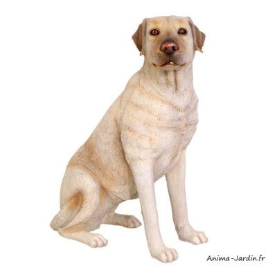 Labrador assis en résine, animal, jardin, décoration de jardin, achat, pas cher