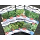 Lot de 10 paquets graines, aromatiques, potager, jardin ouvrier, Sanrival, pas cher, économique