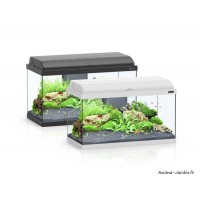 Aquarium, kit Aquadream 60, capacité 52L, inclus éclairage et filtre, Aquatlantis, achat, pas cher