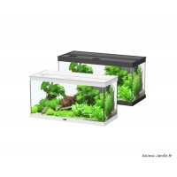 Aquarium, Style LED 80, capacité 86L, inclus éclairage et filtre, Aquatlantis, achat, pas cher