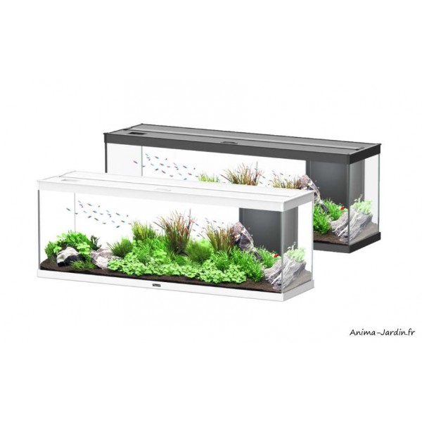 Aquarium Vision 180 LED, verre incurvé, 180 Litres, kit complet, éclairage,  filtre, pompe, Juwel, achat, pas cher